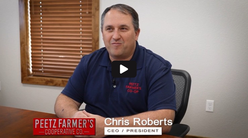 Newsletter Video Image (2)
